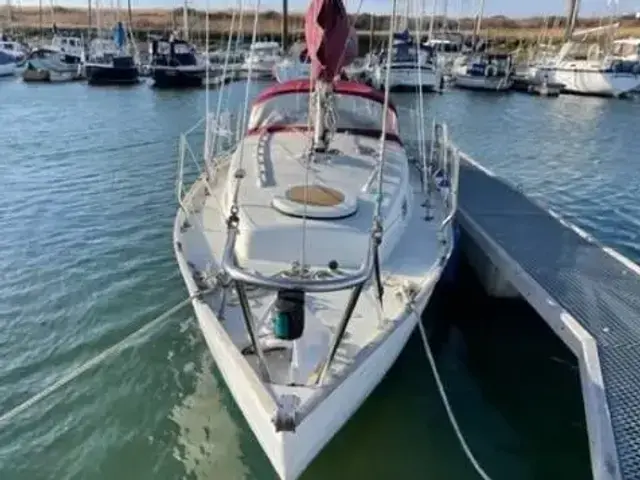 Contessa 26