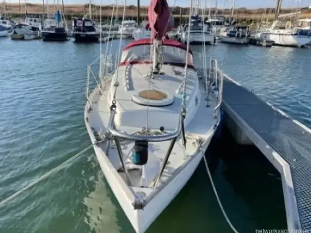 Contessa 26