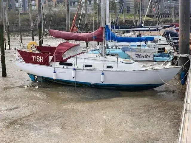 Contessa 26