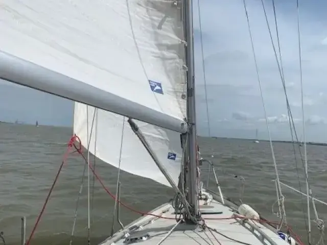 Contessa 26