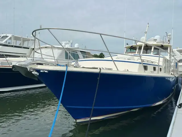 Dettling Express Cruiser 51