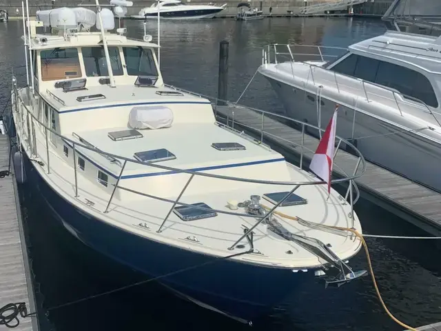 Dettling Express Cruiser 51