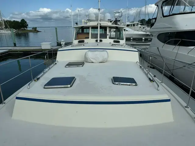 Dettling Express Cruiser 51