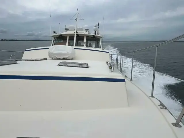 Dettling Express Cruiser 51