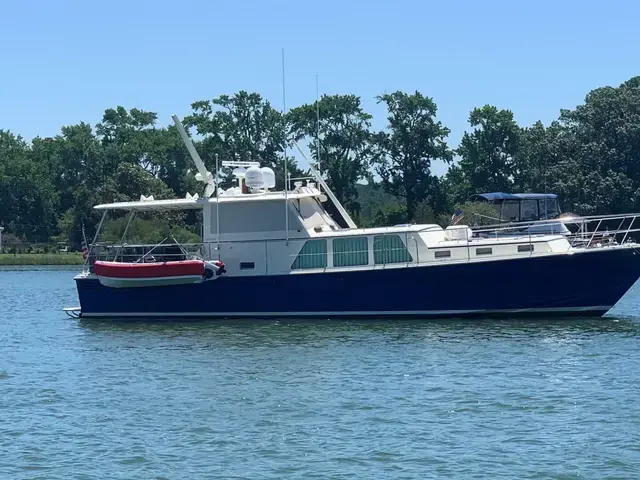 Dettling Express Cruiser 51