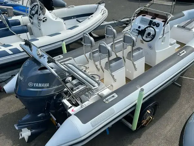 Ballistic 6M RIB