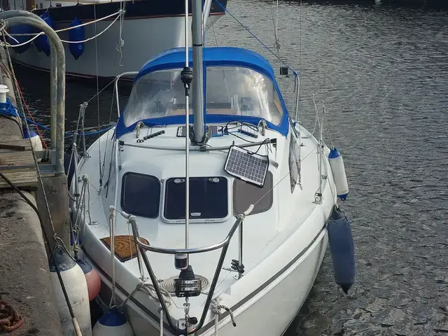 Hunter Ranger 245