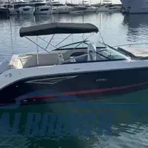 2023 Sea Ray 250 Sunsport