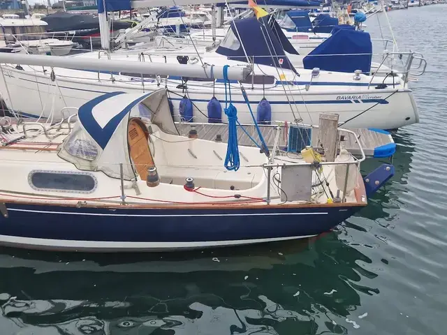 Contessa 26