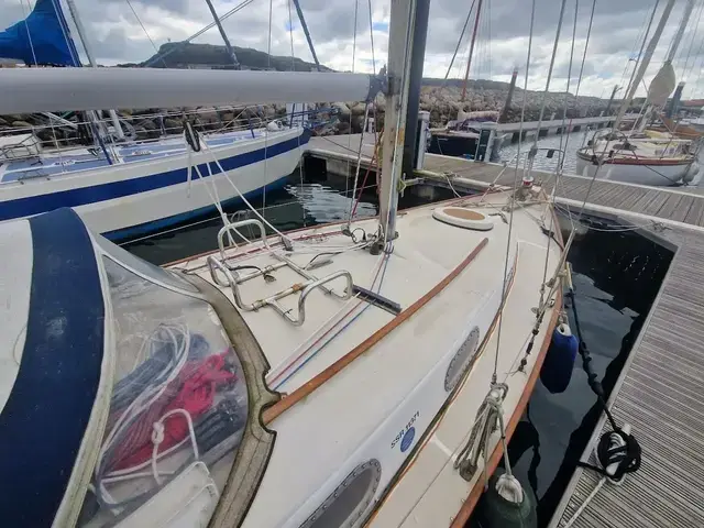 Contessa 26