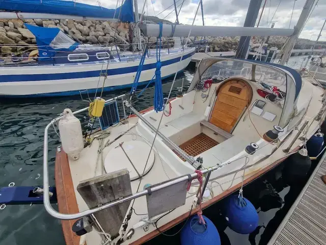 Contessa 26