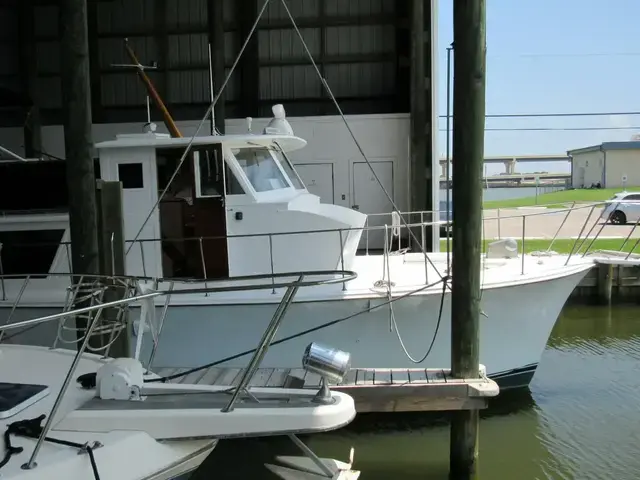 Hatteras 55