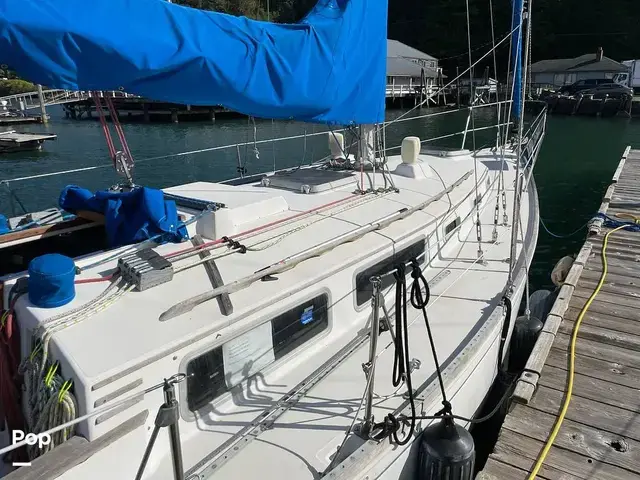 Sabre 34