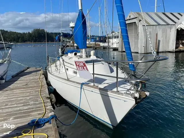 Sabre 34