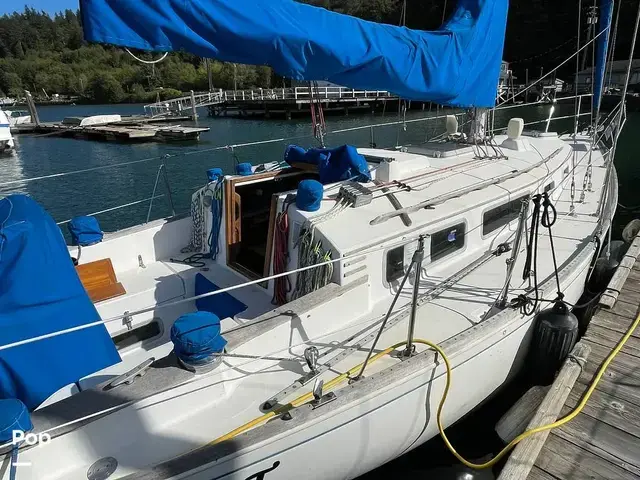 Sabre 34