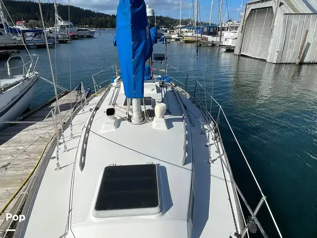 Sabre 34