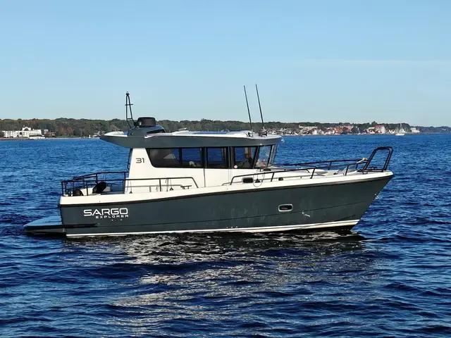 Sargo 31