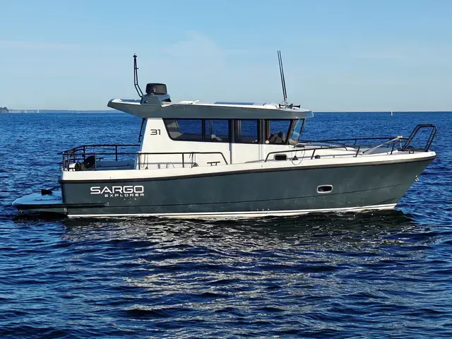 Sargo 31