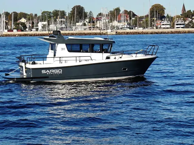 Sargo 31