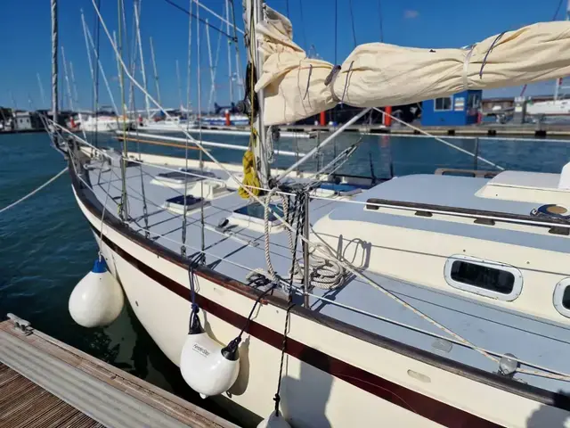 Tradewind 35