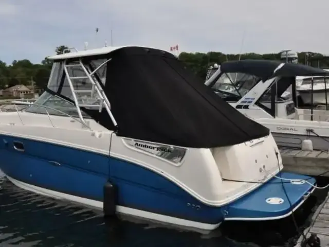 Sea Ray 290 Amberjack