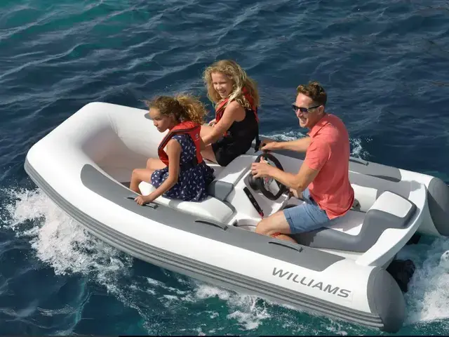 Williams Jet Tenders Minijet 280