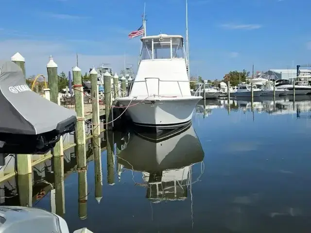 Luhrs 34 Convertible