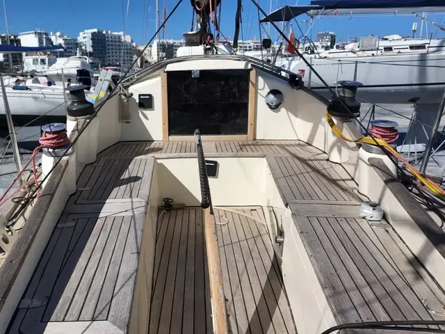 Benello Gaia 36