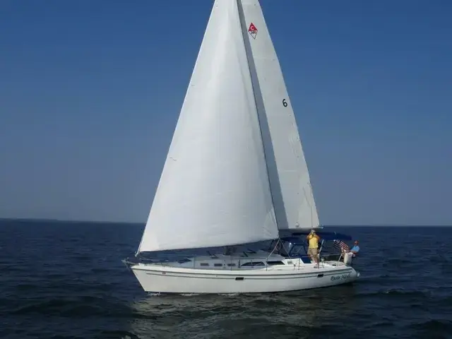 Catalina 380