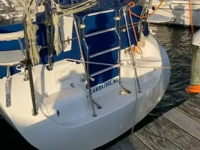 Catalina 380