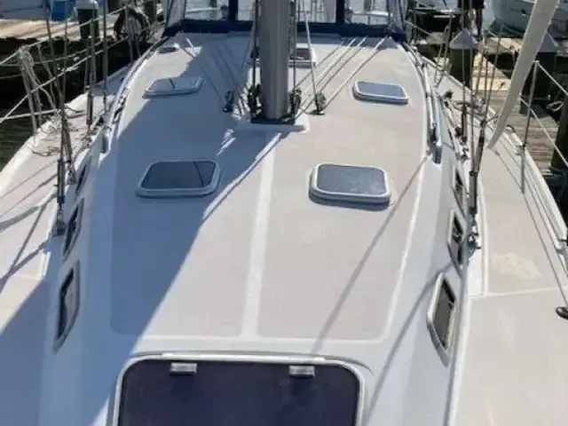 Catalina 380