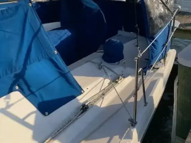 Catalina 380