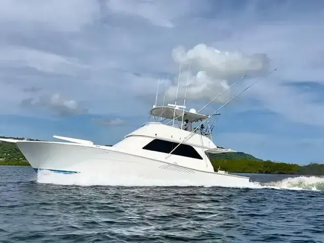 Viking 50 Convertible