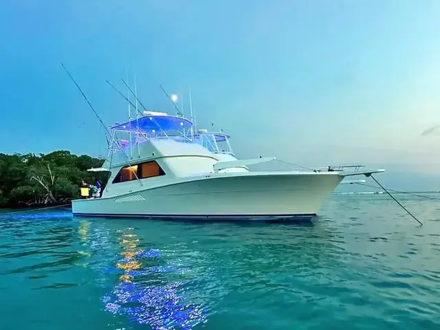 Viking 50 Convertible