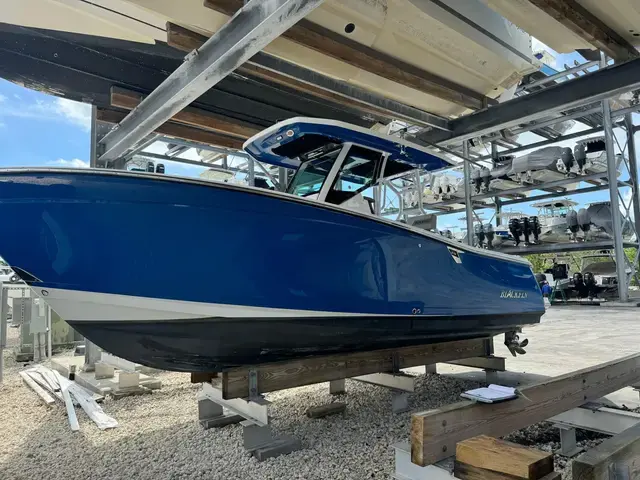 Blackfin Boats 272 CC