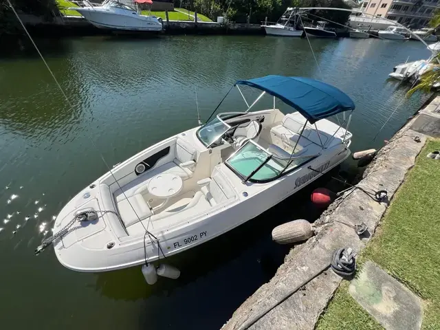 Sea Ray 240 Sundeck