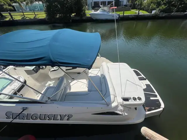 Sea Ray 240 Sundeck