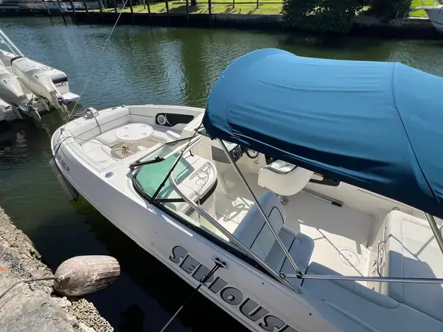 Sea Ray 240 Sundeck