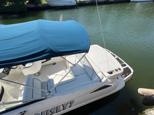 Sea Ray 240 Sundeck