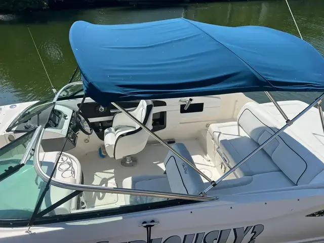 Sea Ray 240 Sundeck