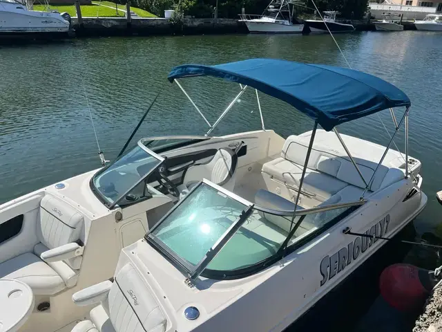 Sea Ray 240 Sundeck