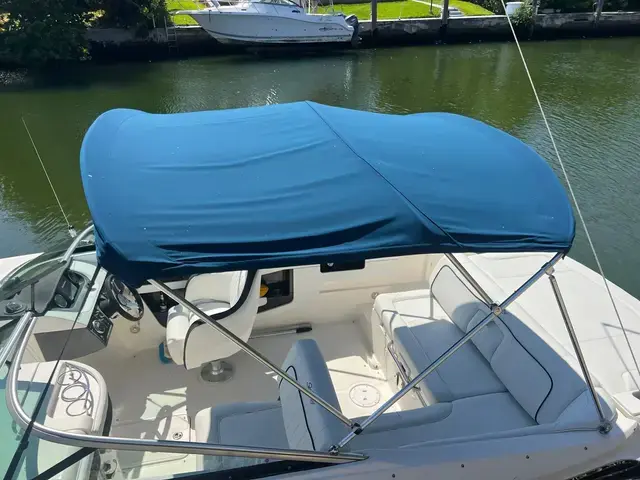 Sea Ray 240 Sundeck