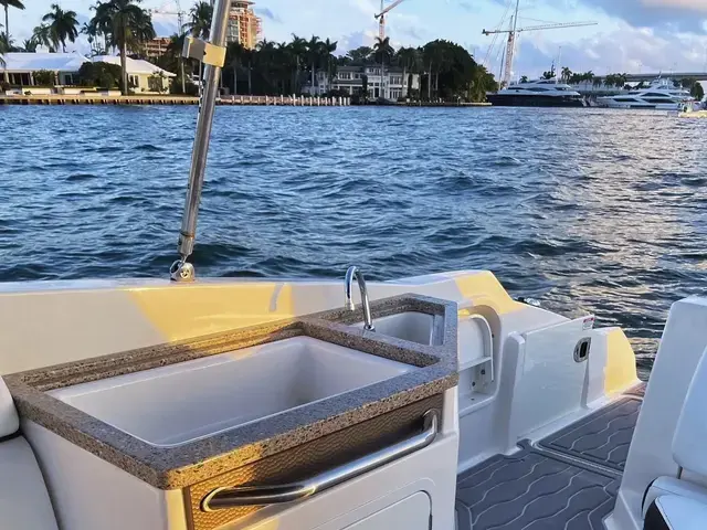 Sea Ray 290 Sundeck