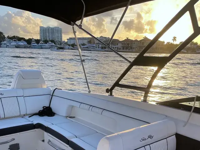 Sea Ray 290 Sundeck