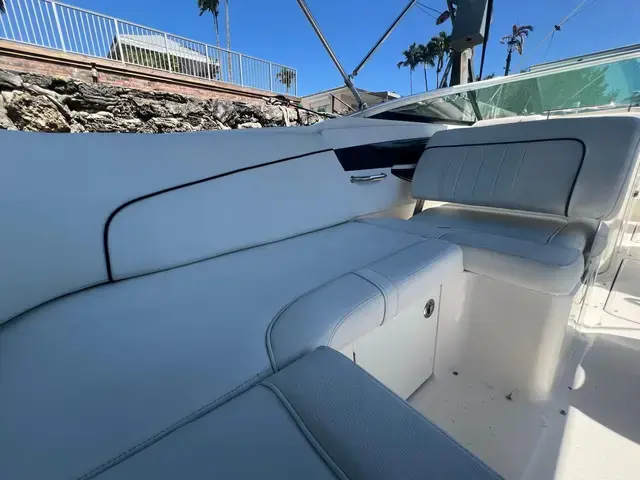 Sea Ray 240 Sundeck