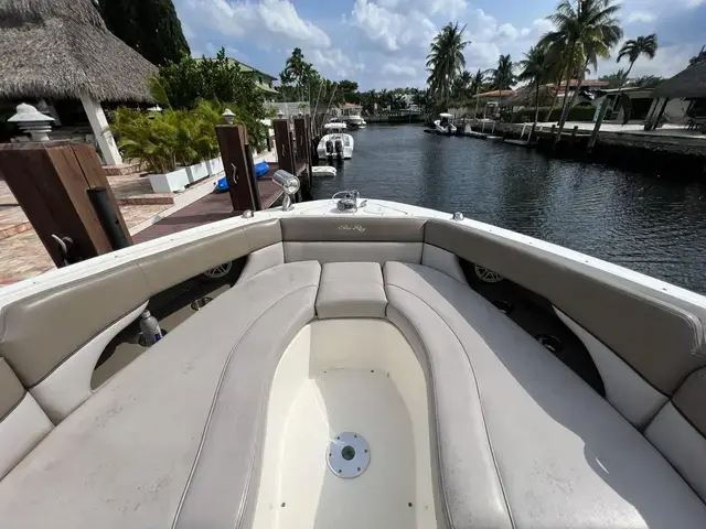 Sea Ray 300 SLX