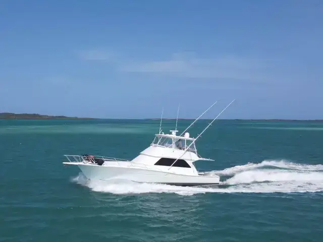 Viking 50 Convertible