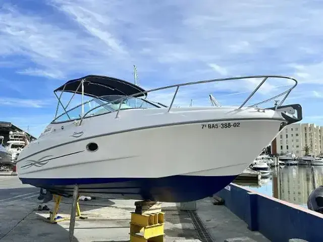 Sessa Marine Islamorada 23