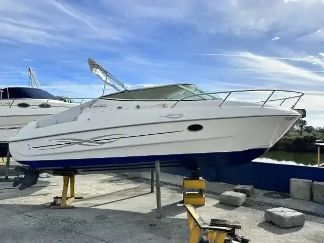 Sessa Marine Islamorada 23