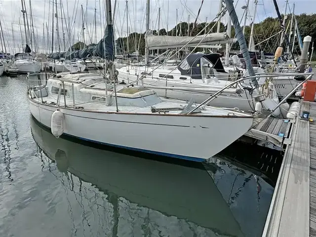 Marlow Legend 29